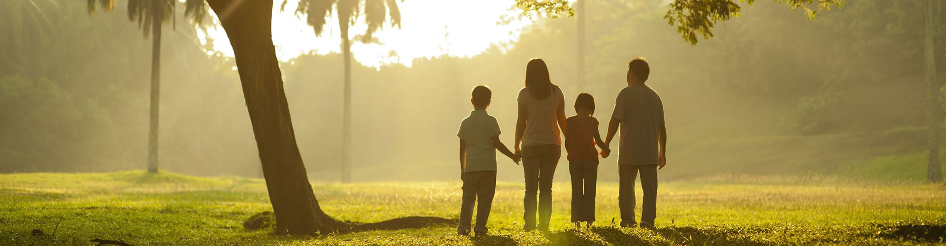 Estamos de la mano contigo